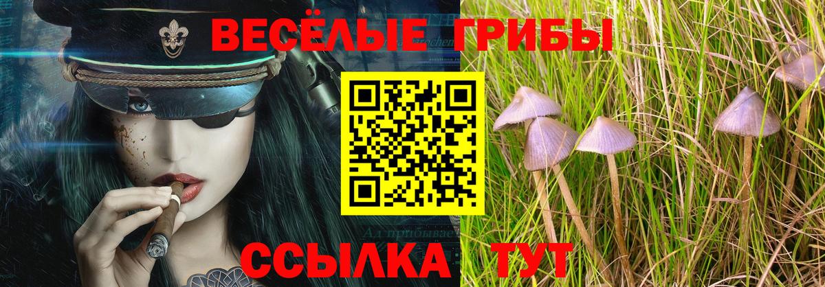 Псилоцибиновые грибы прущие грибы  Вход с VPN  Псилоцибиновые грибы Psilocybe  Чехов 